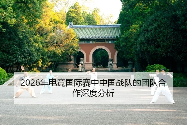 nian-dian-jing-guo-ji-sai-zhong-zhong-guo-zhan-dui-de-tuan-dui-he-zuo-shen-du-fen-xi-2-782.jpg