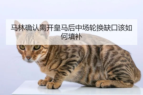 马林确认离开皇马后中场轮换缺口该如何填补