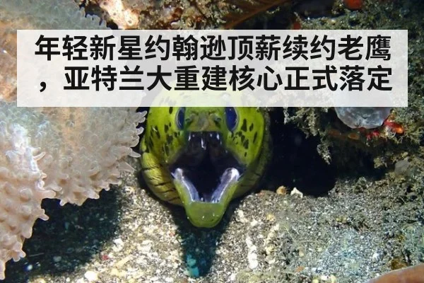 年轻新星约翰逊顶薪续约老鹰，亚特兰大重建核心正式落定