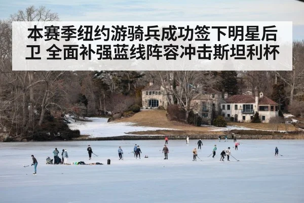 本赛季纽约游骑兵成功签下明星后卫 全面补强蓝线阵容冲击斯坦利杯