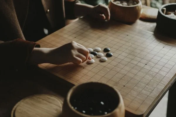 professional Go players